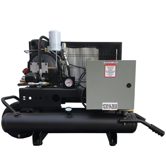What types of temperature switches are included in the compressor?